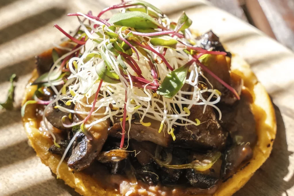 Plated tostada with braised mushrooms and micro-greens prepared by a private chef at a Tulum villa