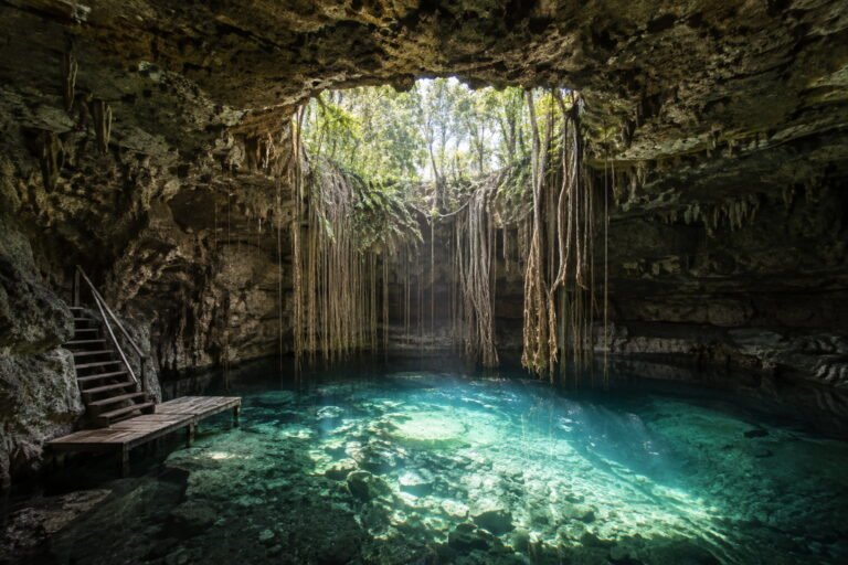 A semi-open cenote near Tulum: daylight through a collapsed limestone roof, hanging tree roots and clear turquoise water over a pale rock floor